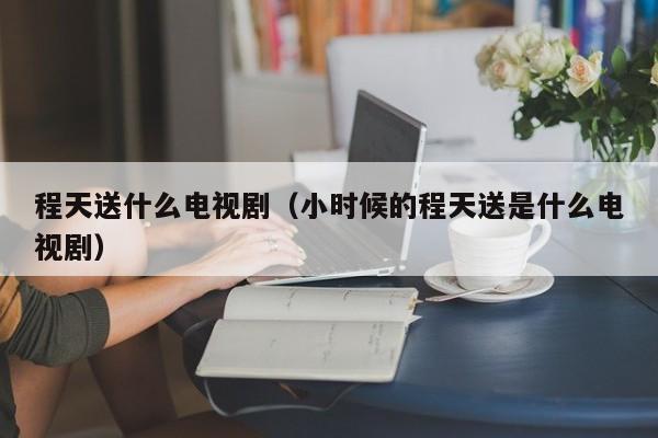 程天送什么电视剧（小时候的程天送是什么电视剧）
