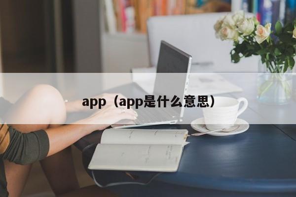 app（app是什么意思）