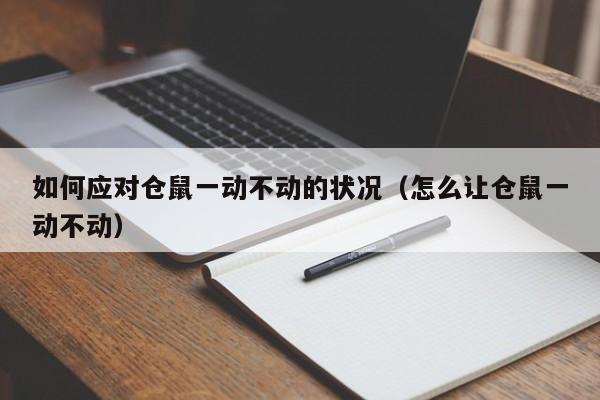 如何应对仓鼠一动不动的状况（怎么让仓鼠一动不动）